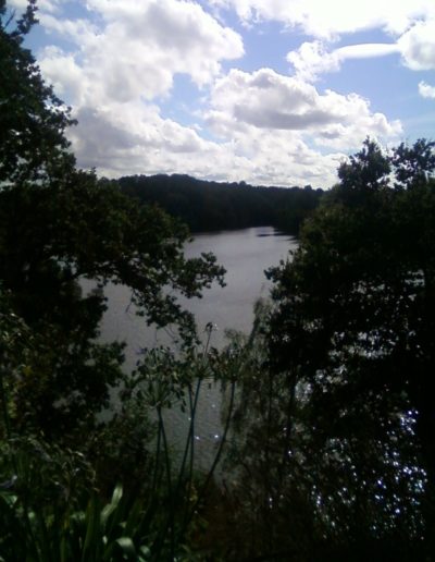 vue baie